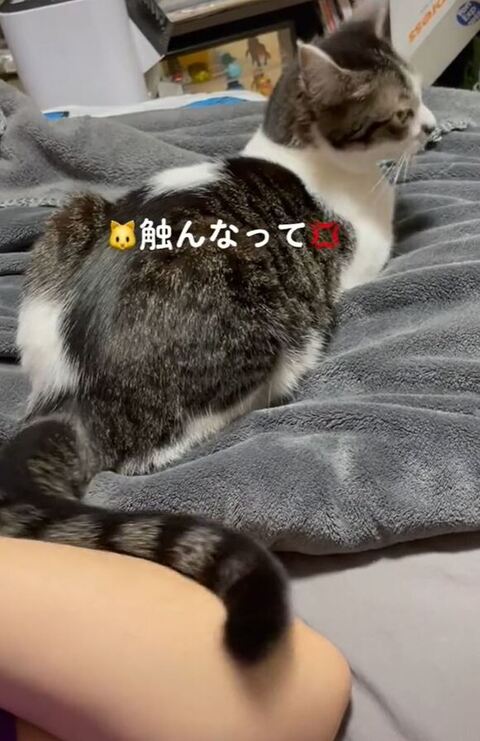 横を見てるゆずちゃん