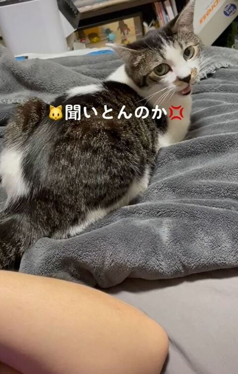 激しく怒ってるゆずちゃん