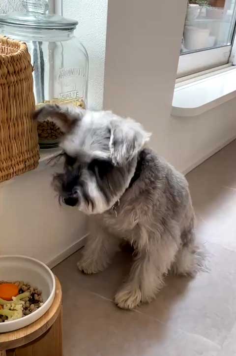 シュナ