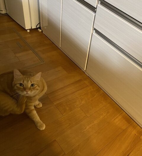 首をかいてるマイケルくん