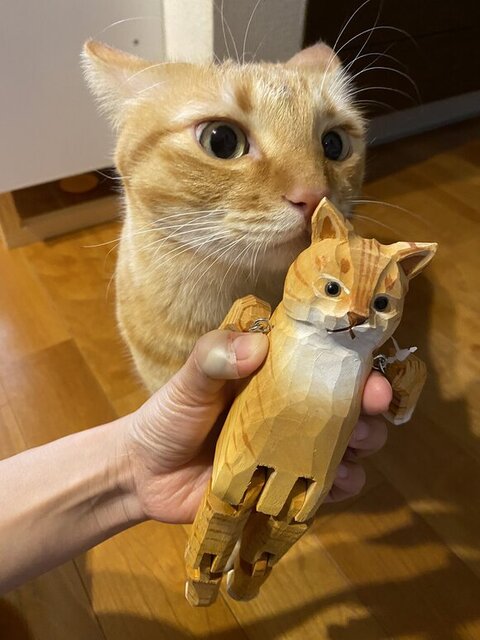 人形に匂いをかぐマイケルくん