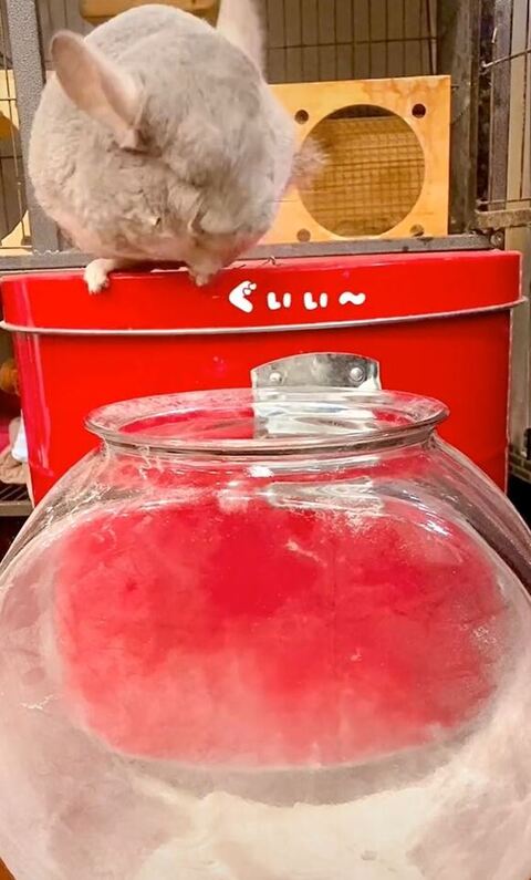 顔の砂を落とす