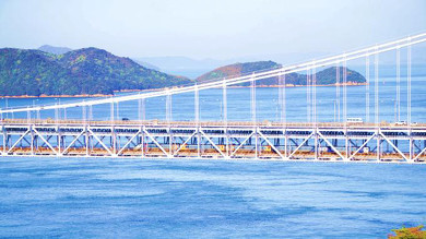 岡山の駅弁 桃太郎のかくし祭ずし