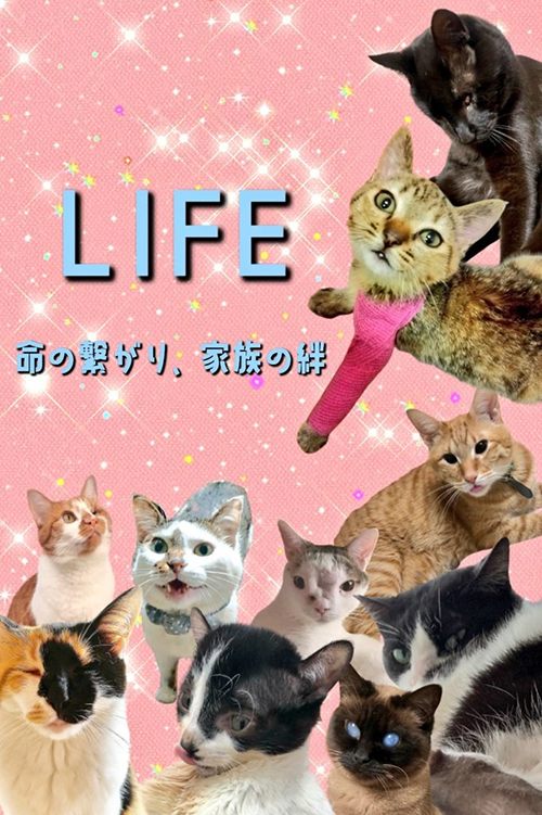 オンリーにゃんず1枚目