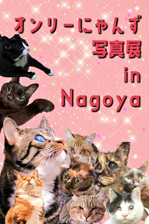 オンリーにゃんず2枚目