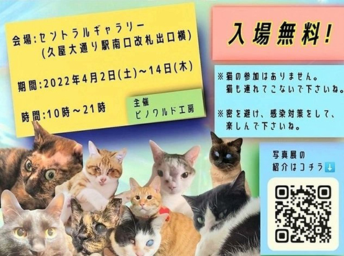 オンリーにゃんず会場日時