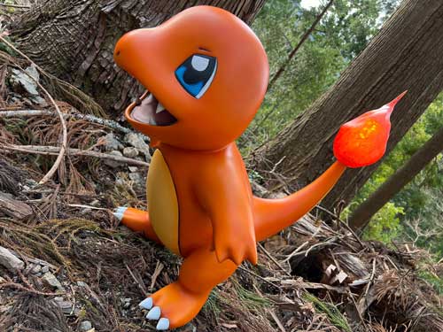 ポケモン ヒトカゲ 原寸大 立体 3Dプリント トレーナー