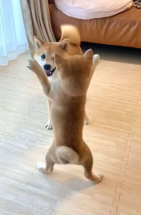 おすすめ