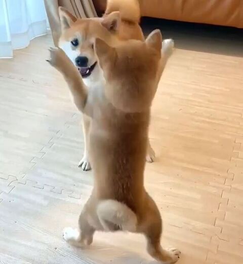 仁王立ちアップ