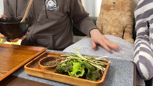 パパさんが呼んでいるところ