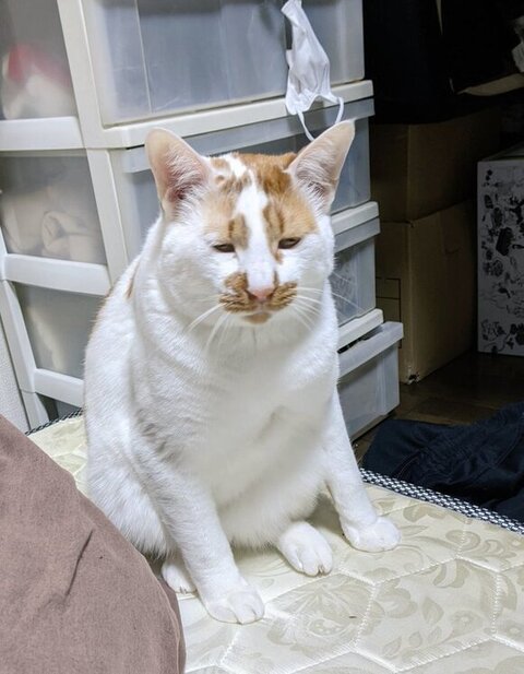 お座りしてショボン顔