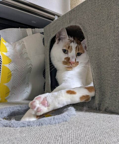 タワーにいるしょぼぼくん