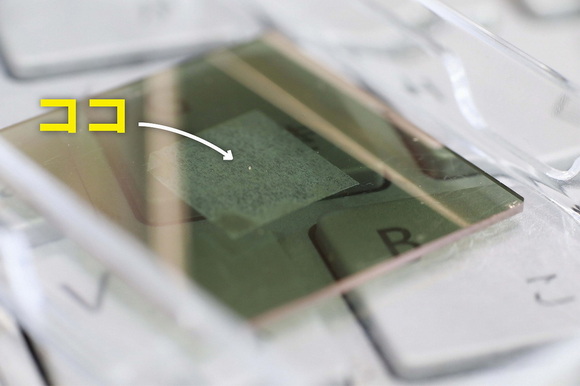 世界最小の福山城