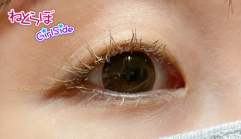 mini5月号ふろくレビュー