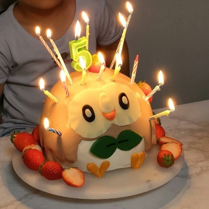 息子の誕生日に作ったポケモン「モクロー」のケーキが話題に　ろうそく刺されすぎで変わり果てた姿もかわいい