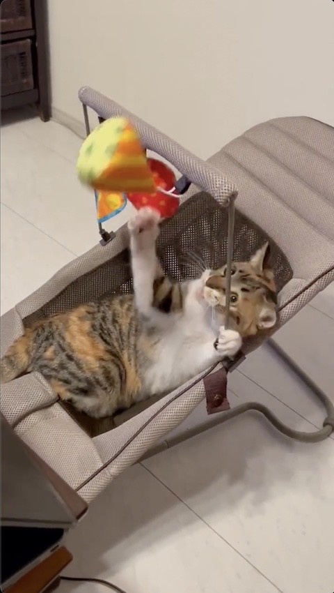 ぬいぐるみが届かない位置へ