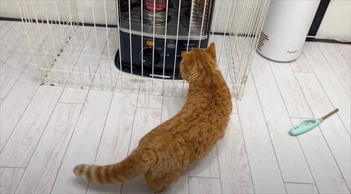任務完了するパパ