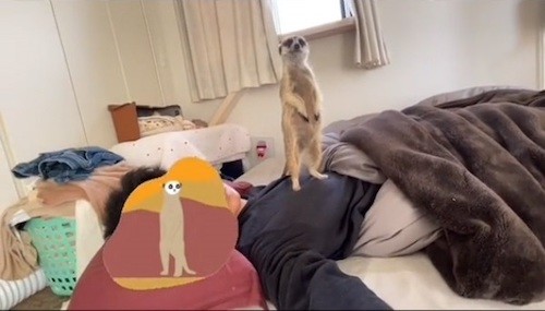 動画サムネの竹くん