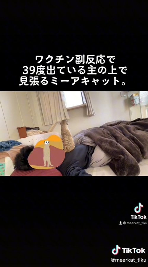 背中を見せる竹くん