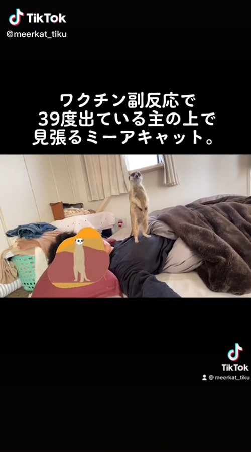 正面を見る竹くん