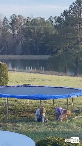 「Kid Bends Down to Let Sister Climb Down from Trampoline - 1304263」