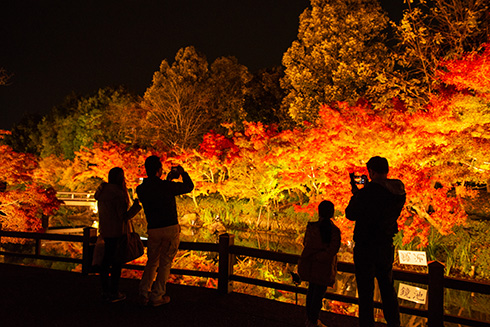 水面の反射がよくわかる粋な看板　なばなの里にある鏡池がすてき