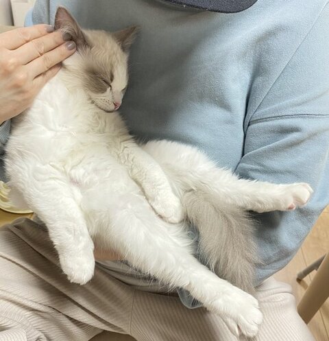 抱っこされて寝てるルカくん