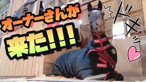 おすすめ