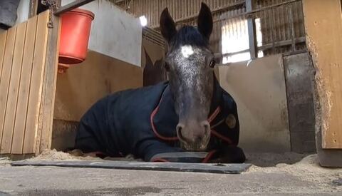 カメラ目線で休憩中のタラちゃん