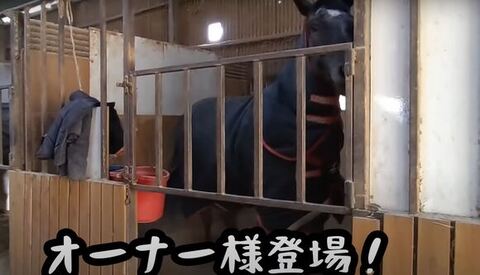 立ってるタラちゃん