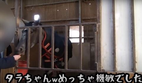 洋服を着ておやつをもらうタラちゃん