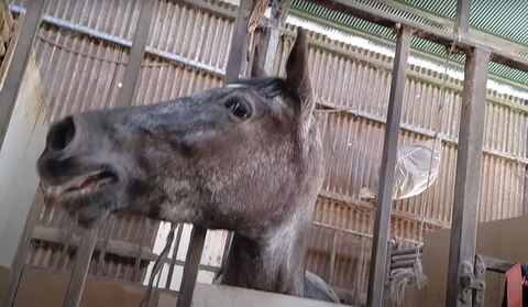 鳴いてるタラちゃん