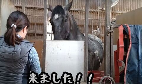 ごはんをもらうタラちゃん洋服なし