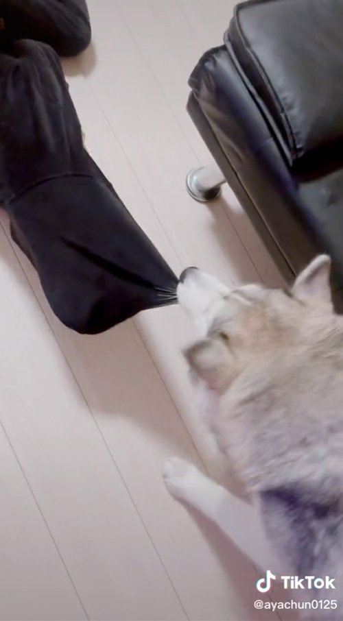 下方向にひっぱるルークくん