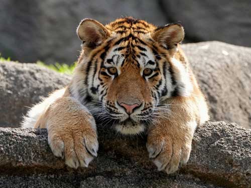 反省するアースくん