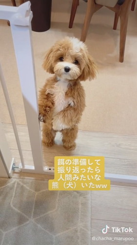 振り返ったら……