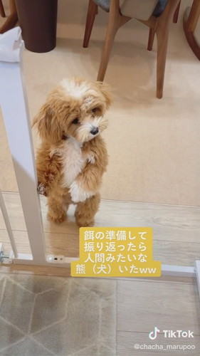 振り返ったら……