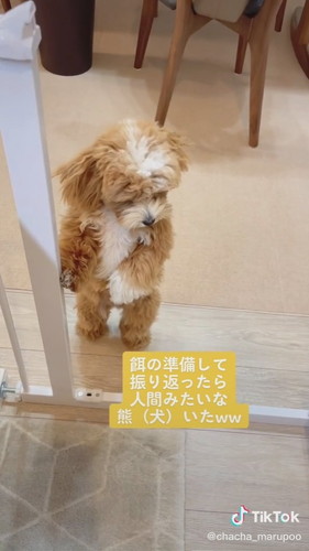 振り返ったら……