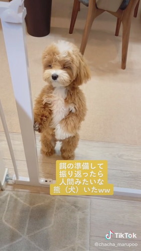 振り返ったら……