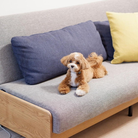 ちゃちゃまるちゃん