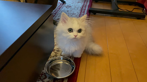 ノーマンくん全身