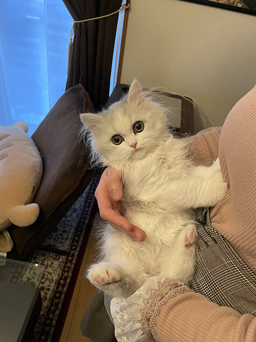 抱っこノーマンくん