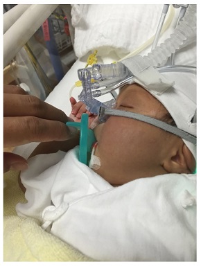 ラミレス 剣持 ケンジ 新生児