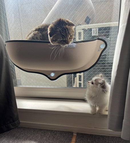 まつたけちゃんとおすしちゃん