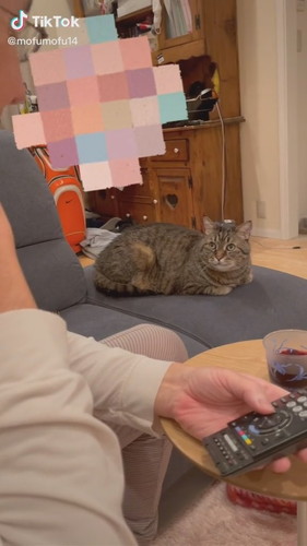 パパ大好きムーちゃん