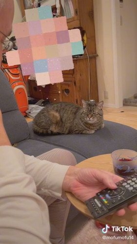 パパにアピールするムーちゃん