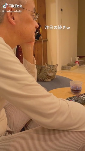 見つめるムーくん