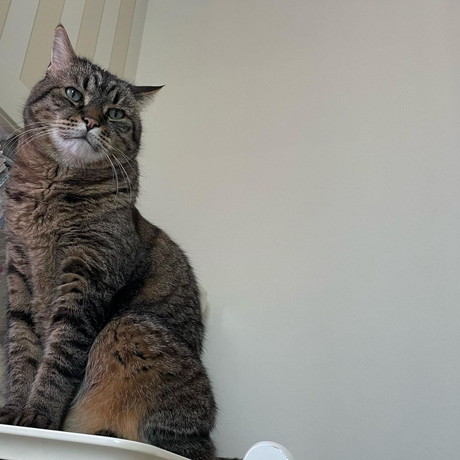 パパ大好きムーちゃん