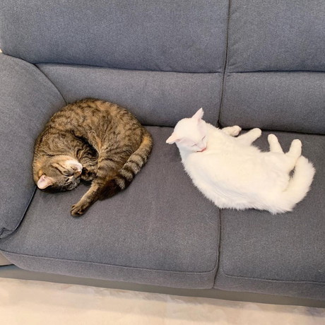 プーちゃんとムーくん