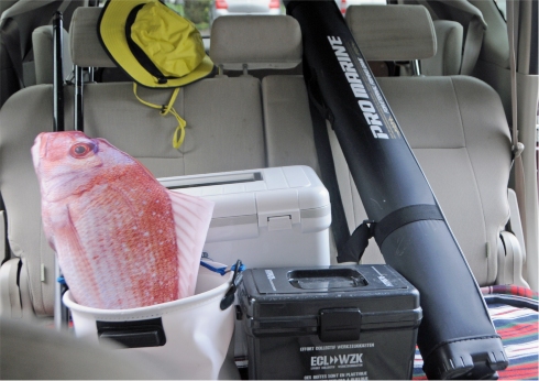 ぎょたクッション